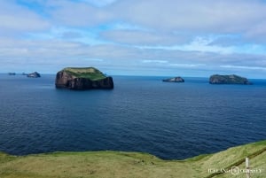 Isole Westman private con pulcinella di mare e beluga (Fino a 8 persone)