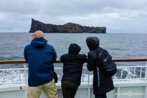 Isole Westman private con pulcinella di mare e beluga (Fino a 8 persone)