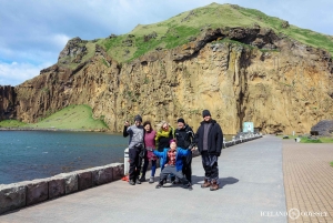 Isole Westman private con pulcinella di mare e beluga (Fino a 8 persone)