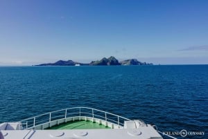 Isole Westman private con pulcinella di mare e beluga (Fino a 8 persone)