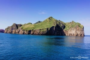 Isole Westman private con pulcinella di mare e beluga (Fino a 8 persone)