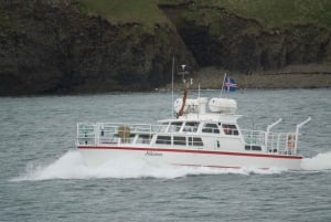 Reykjavik: Puffin Observation and Birdwatching Boat Tour