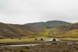 Reykjadalur: Buggy Adventure & Natural Baths