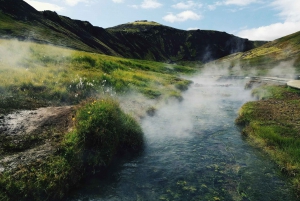 Reykjadalur-Wanderung, ab Reykjavík - PRIVATE TOUR