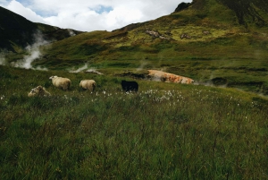 Reykjadalur-Wanderung, ab Reykjavík - PRIVATE TOUR