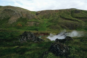 Vandring i Reykjadalur, från Reykjavík - PRIVAT TUR