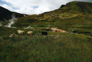 Vandring i Reykjadalur, från Reykjavík - PRIVAT TUR