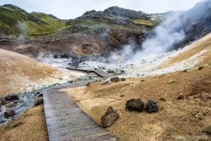 Reykjanes & Blue Lagoon (Premium Admission) - PRIVATE TOUR