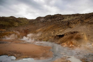 Reykjanes: Błękitna Laguna i tunel lawowy