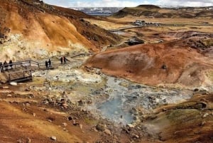 Reykjanes Peninsula : Private Guided Day Tour