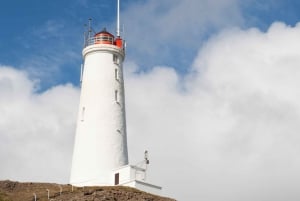 Península de Reykjanes : Tour guiado particular de um dia