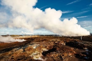 Península de Reykjanes : Tour guiado particular de um dia