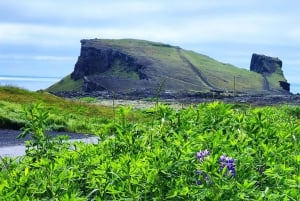 Reykjanes-halvøya: Geotermisk varme, tektonikk og kystens underverker