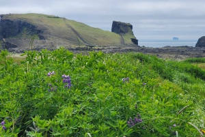 Reykjanes-halvøya: Geotermisk varme, tektonikk og kystens underverker