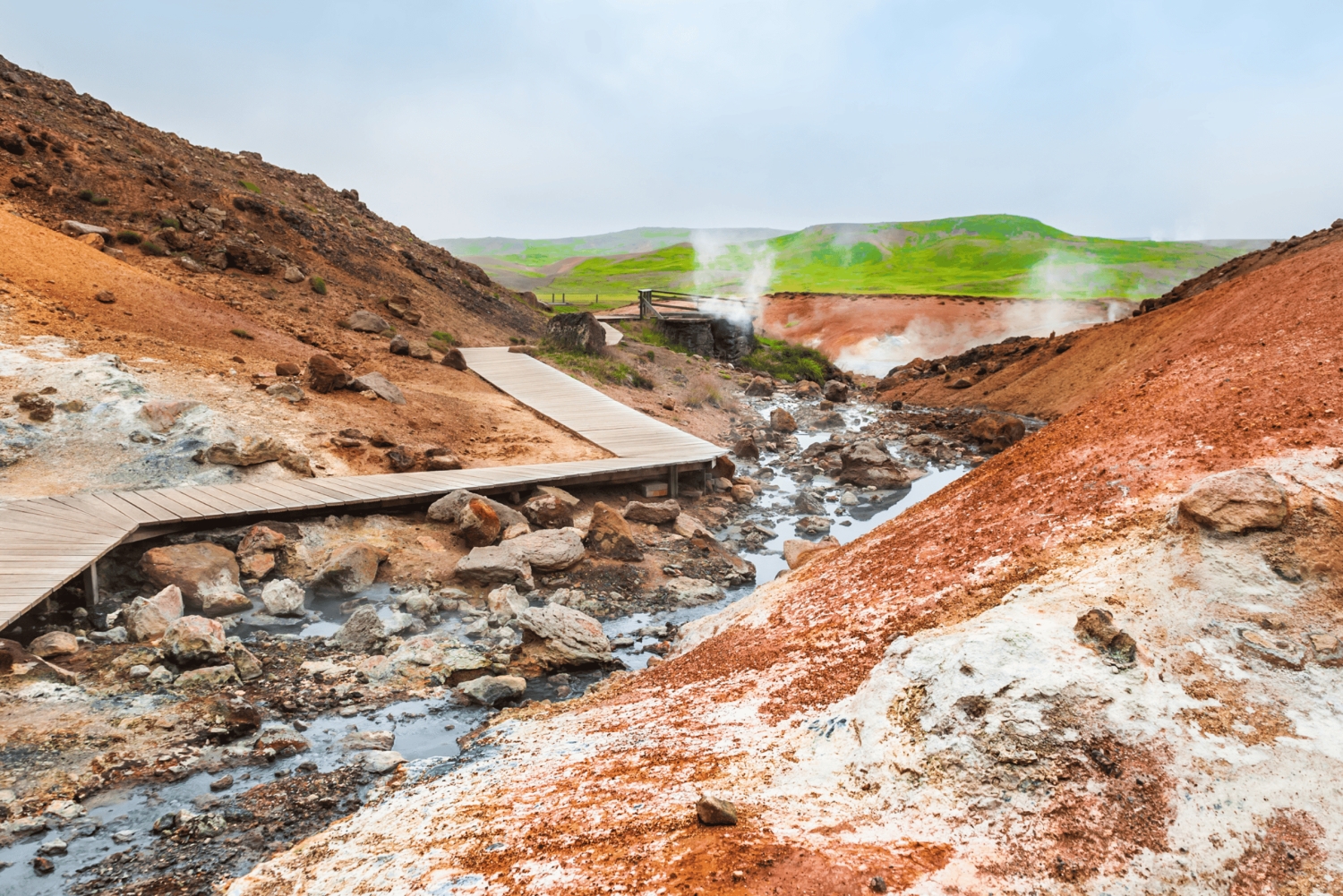 Penisola di Reykjanes : Tour privato guidato di un giorno