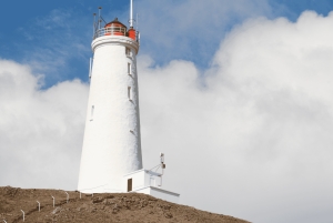 Penisola di Reykjanes : Tour privato guidato di un giorno