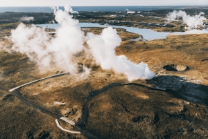 Penisola di Reykjanes : Tour privato guidato di un giorno