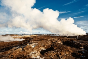 Penisola di Reykjanes : Tour privato guidato di un giorno