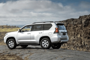 Penisola di Reykjanes : Tour privato guidato di un giorno