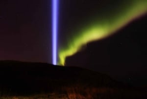 Reykjavik: 2 timers tur i fredstårnet