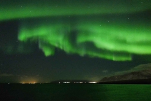 Reykjavik: 2-timers nordlystur med båd med backupplan