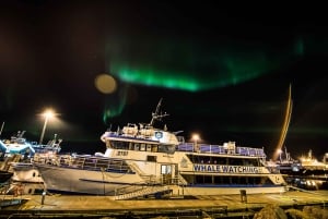 Reykjavik: 2 uur Noorderlicht per boot met back-up plan