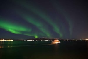 Reykjavik: 2 uur Noorderlicht per boot met back-up plan