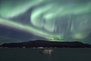 Reykjavik: 2 uur Noorderlicht per boot met back-up plan