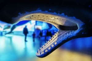 Reykjavik: 2 uur Noorderlicht per boot met back-up plan