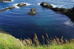 Reykjavik: 2026 Auringonpimennys matkapäivä Snæfellsnesiin