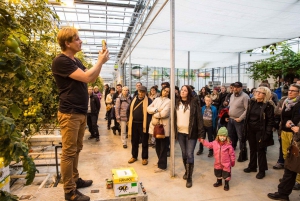 Reykjavik: 3-Day Golden Circle, South Coast & Blue Lagoon