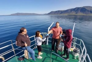 Reykjavik: visite gastronomique de 3 heures de pêche en mer
