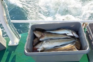 Reykjavik: tour gastronomico di 3 ore di pesca in mare