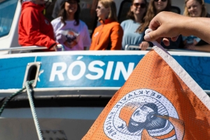 Reykjavik: 21.00 Hvalsafari i den arktiske sol