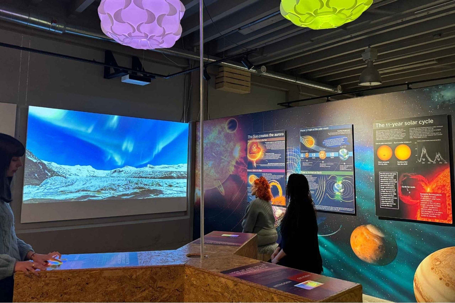 レイキャビク：オーロラ レイキャビク ノーザン ライツ センターの入場