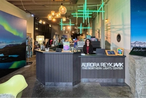 レイキャビク：オーロラ レイキャビク ノーザン ライツ センターの入場