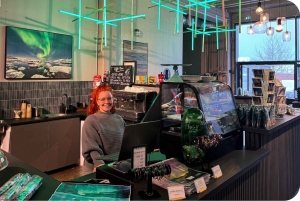 レイキャビク：オーロラ レイキャビク ノーザン ライツ センターの入場