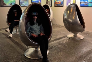 レイキャビク：オーロラ レイキャビク ノーザン ライツ センターの入場