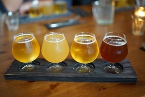 Reykjavik : visite guidée sur le thème de la bière et de l'alcool