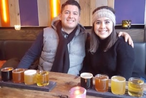 Reykjavik : visite guidée sur le thème de la bière et de l'alcool