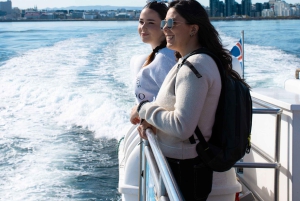 Reykjavik: Best Value Whale Watching Boat Tour