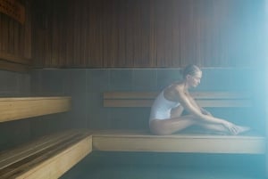 Reykjavik: Blue Lagoon Private Tour