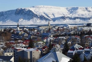 Visite privée de Reykjavík et du Lagon Bleu