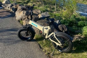 Reykjavík by the Shore, Coast, City & Hidden Trails by eBike