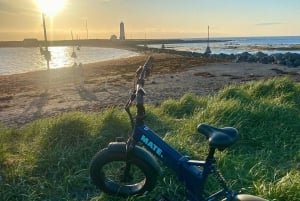 Reykjavík by the Shore, Coast, City & Hidden Trails by eBike