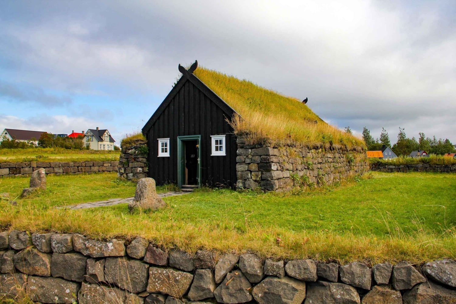 Reykjavik City - privat halvdagstur