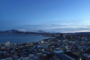 Reykjavik by - privat halvdagstur