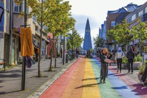 Reykjavik City - privat halvdagstur