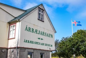 Reykjavik City - privat halvdagstur