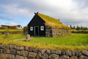 Reykjavik City - privat halvdagstur